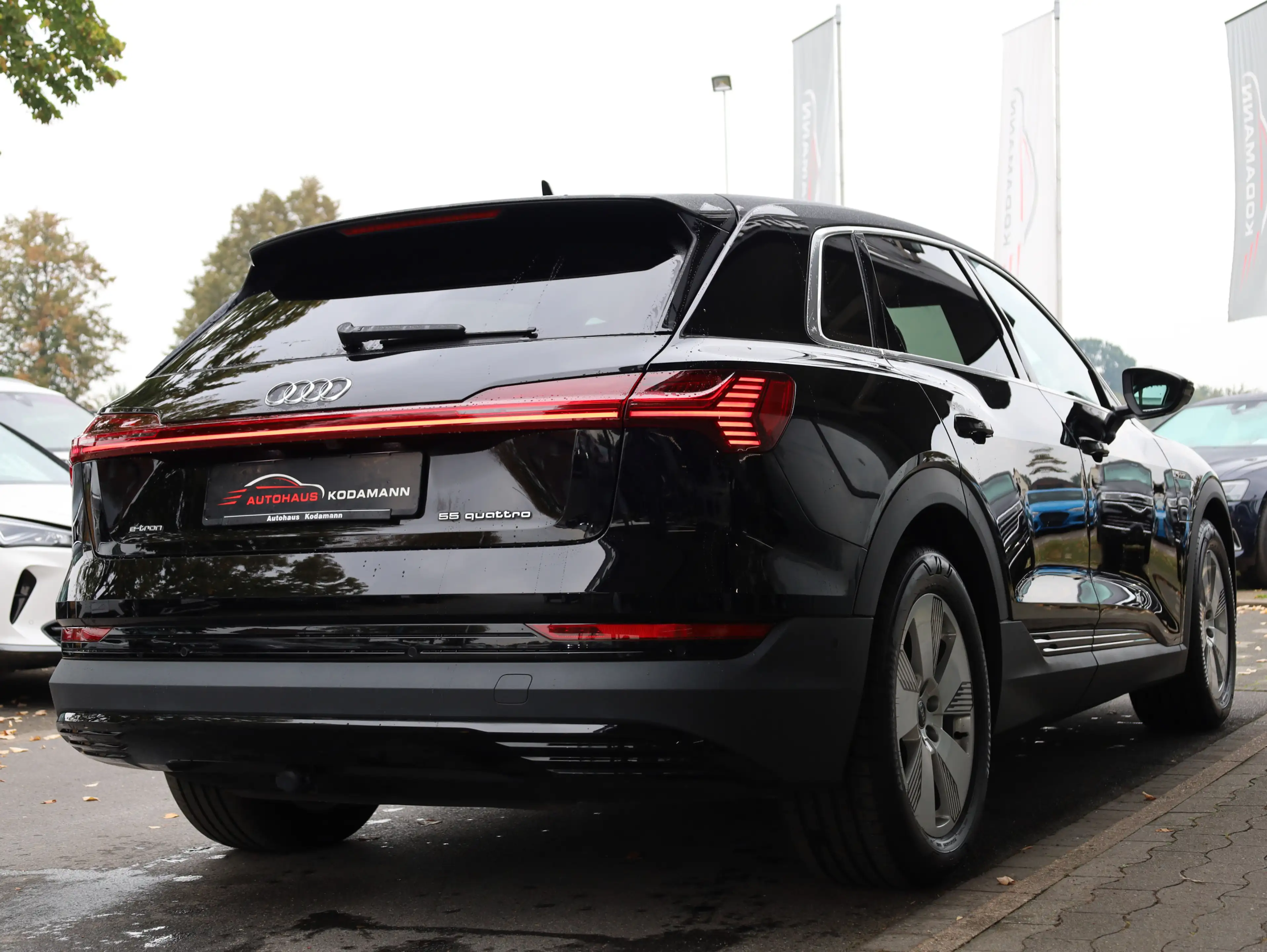 Audi e-tron 55 quattro *HeadUp*ACC*Matrix*AirSus*AHK* — photo 11