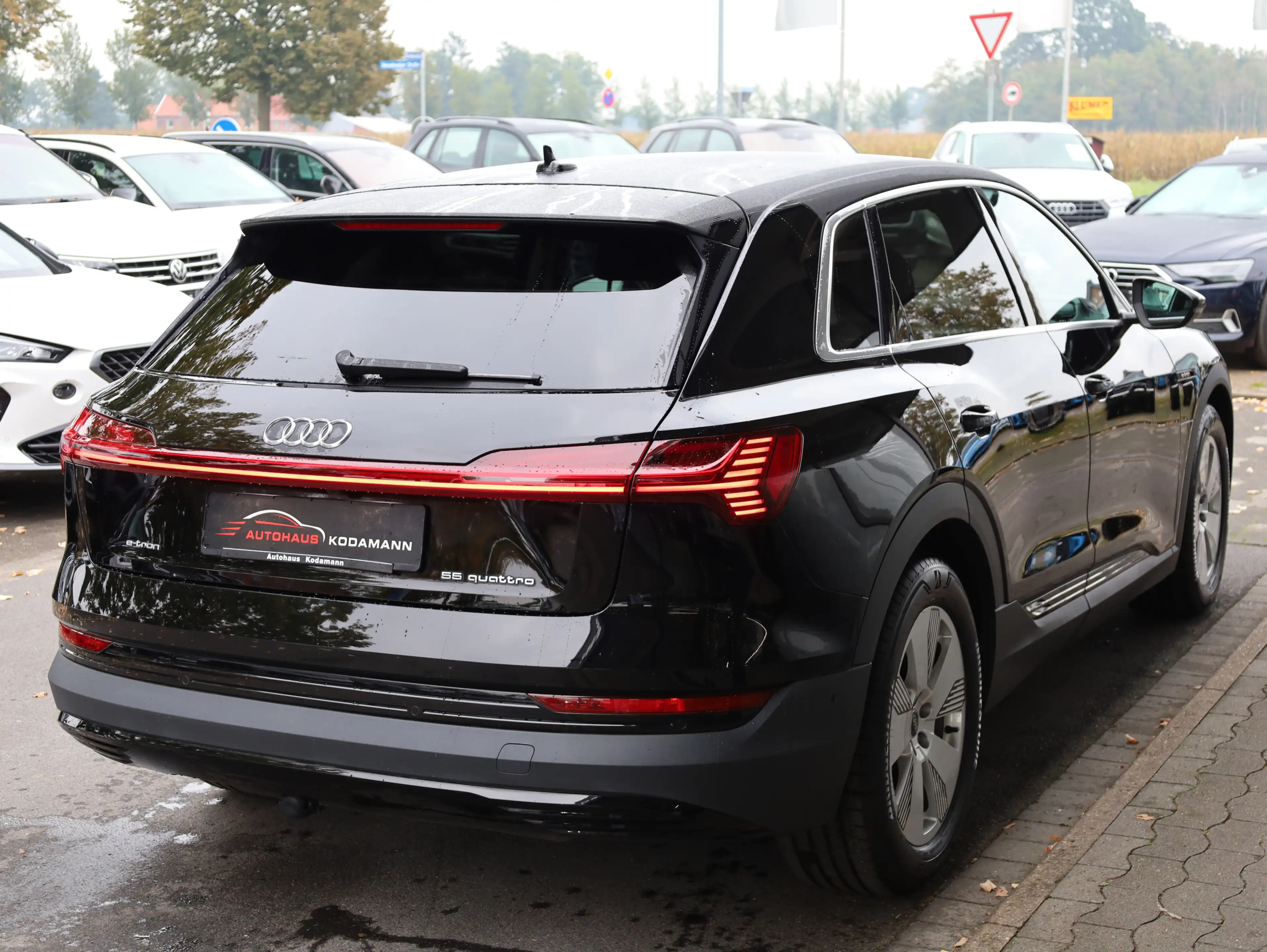 Audi e-tron 55 quattro *HeadUp*ACC*Matrix*AirSus*AHK* — photo 10