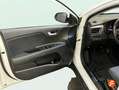 Kia Stonic 1.0+T-GDi+74kW+%28100CV%29+MHEV+iMT+Concept Blanco - thumbnail 18