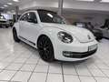 Volkswagen Beetle Sport 2.0 TSI*Leder*Bi-Xenon*PANO*MP3*ALS Blanc - thumbnail 3