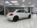 Volkswagen Beetle Sport 2.0 TSI*Leder*Bi-Xenon*PANO*MP3*ALS Blanc - thumbnail 4