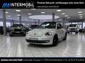 Volkswagen Beetle Sport 2.0 TSI*Leder*Bi-Xenon*PANO*MP3*ALS Blanc - thumbnail 1