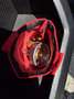 Dodge RAM 1500 3.6 Crew Cab WARLOCK Gpl 227kw IVA COMPRESA Bleu - thumbnail 22
