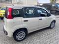 Fiat Panda 1.2 Young 69CV*EURO6*NEOPATENTATI - thumbnail 4