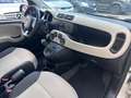 Fiat Panda 1.2 Young 69CV*EURO6*NEOPATENTATI - thumbnail 11