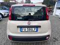 Fiat Panda 1.2 Young 69CV*EURO6*NEOPATENTATI - thumbnail 5