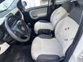Fiat Panda 1.2 Young 69CV*EURO6*NEOPATENTATI - thumbnail 7