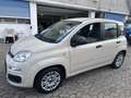 Fiat Panda 1.2 Young 69CV*EURO6*NEOPATENTATI - thumbnail 1