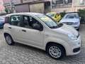 Fiat Panda 1.2 Young 69CV*EURO6*NEOPATENTATI - thumbnail 3