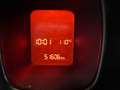 Fiat Panda 1.2 Young 69CV*EURO6*NEOPATENTATI - thumbnail 14