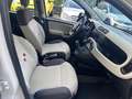 Fiat Panda 1.2 Young 69CV*EURO6*NEOPATENTATI - thumbnail 10