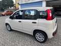 Fiat Panda 1.2 Young 69CV*EURO6*NEOPATENTATI - thumbnail 6