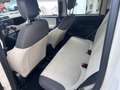 Fiat Panda 1.2 Young 69CV*EURO6*NEOPATENTATI - thumbnail 9