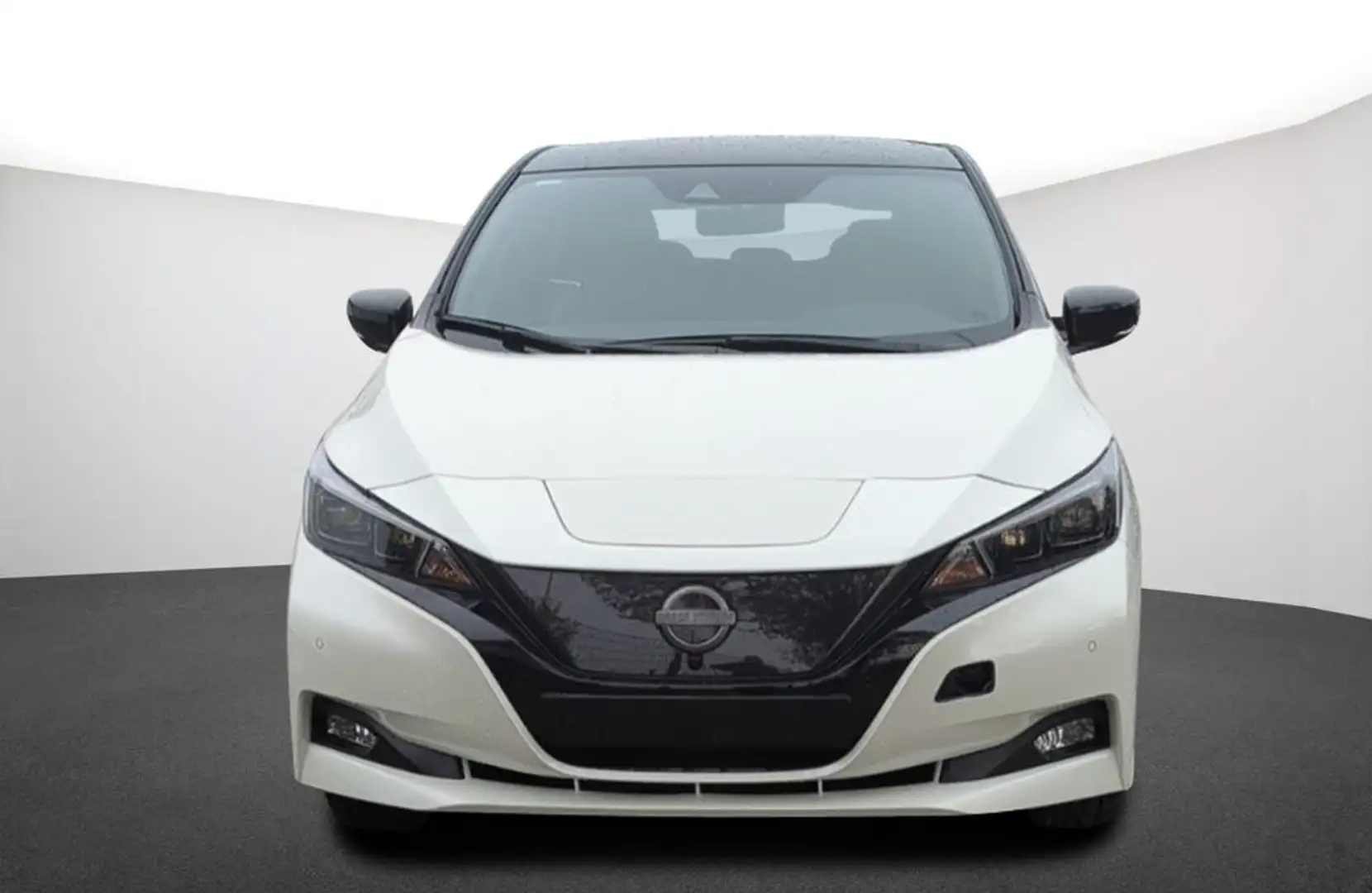 Nissan Leaf e+ Tekna - 2