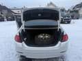 BMW 530 530d Aut. Weiß - thumbnail 14