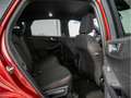 Ford Kuga ST Line 2.5 Duratec Plug-in-Hybrid +GJR Rot - thumbnail 4