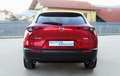 Mazda CX-30 e-Skyactiv-G M Hybrid 2WD Homura Rosso - thumbnail 6