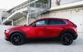 Mazda CX-30 e-Skyactiv-G M Hybrid 2WD Homura Rosso - thumbnail 8