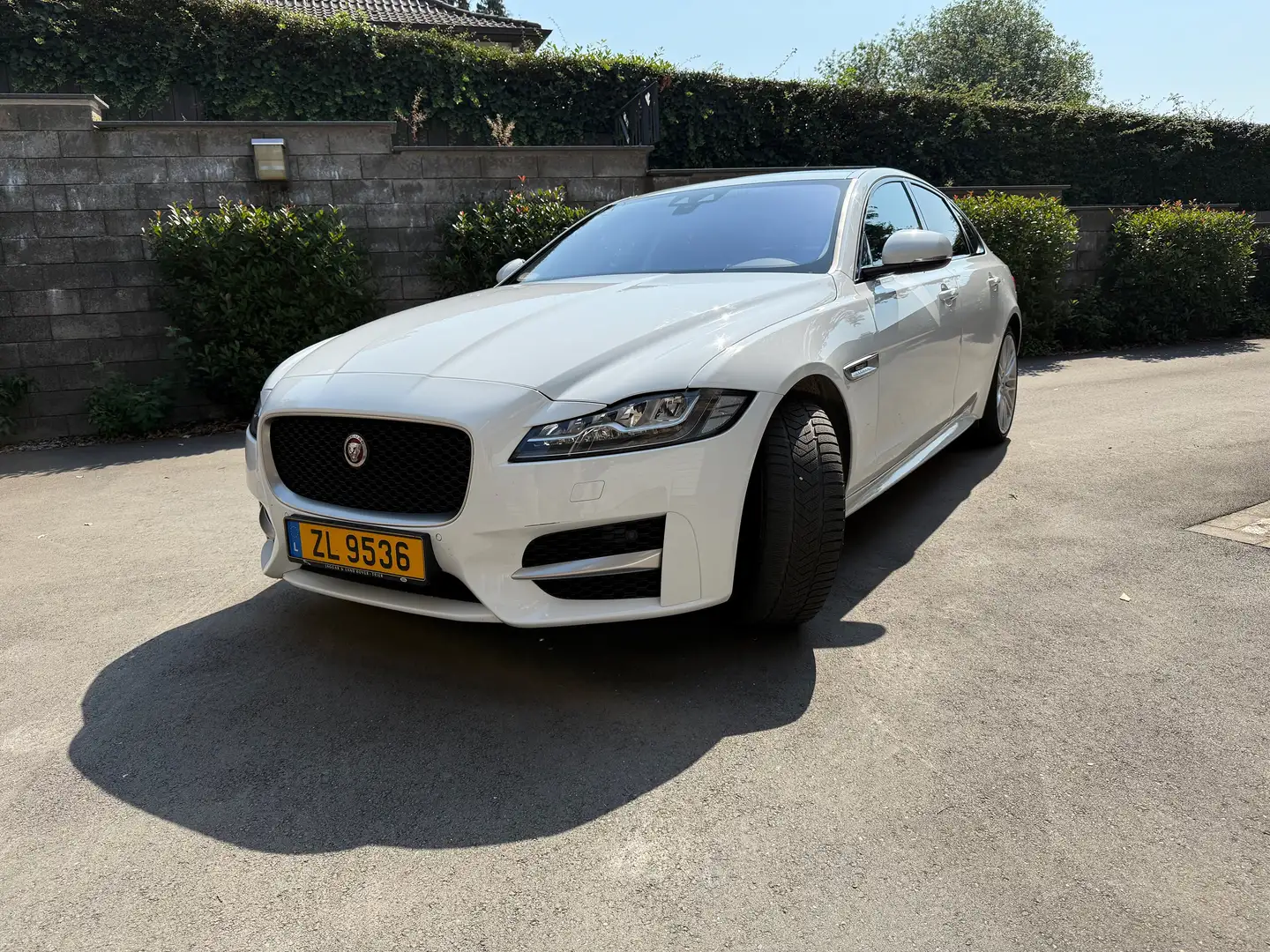Jaguar XF XF 25t R-Sport Blanc - 1