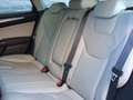 Ford Mondeo Wagon 1.5 Titanium Lease Edition Grau - thumbnail 22
