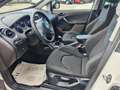 SEAT Altea Freetrack 4x4 MOTORE 2.0 DA 170 CV Blanco - thumbnail 19