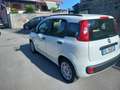 Fiat Panda Panda III 2012 1.2 Lounge 69cv E6 Bianco - thumbnail 4