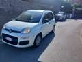 Fiat Panda Panda III 2012 1.2 Lounge 69cv E6 Bianco - thumbnail 3