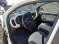 Fiat Panda Panda III 2012 1.2 Lounge 69cv E6 Bianco - thumbnail 13