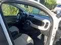 Fiat Panda Panda III 2012 1.2 Lounge 69cv E6 Bianco - thumbnail 15