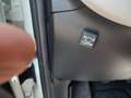 Fiat Panda Panda III 2012 1.2 Lounge 69cv E6 Bianco - thumbnail 10
