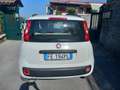 Fiat Panda Panda III 2012 1.2 Lounge 69cv E6 Bianco - thumbnail 5