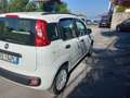 Fiat Panda Panda III 2012 1.2 Lounge 69cv E6 Bianco - thumbnail 6