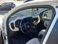 Fiat Panda Panda III 2012 1.2 Lounge 69cv E6 Bianco - thumbnail 7