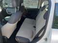 Fiat Panda Panda III 2012 1.2 Lounge 69cv E6 Bianco - thumbnail 12