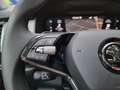 Skoda Kodiaq 2.0 TSI DSG 4x4 Style Navi 7-Sitzer MatrixLED ACC Schwarz - thumbnail 26