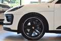 Porsche Macan //21" Sport Classic //Panorama Weiß - thumbnail 7