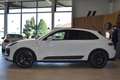 Porsche Macan //21" Sport Classic //Panorama Weiß - thumbnail 8