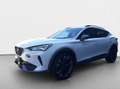 CUPRA Formentor 1.4TSI e-HYBRID *NAVI*PANO*KAM*SHZ*ACC Bianco - thumbnail 15