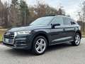 Audi Q5 Q5 2.0 TDI 190 CV quattro S tronic S line plus”T Grigio - thumbnail 2