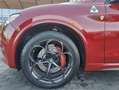 Alfa Romeo Stelvio V6 2.9 Bi-Turbo AT8-Q4 Quadrifoglio - thumbnail 5