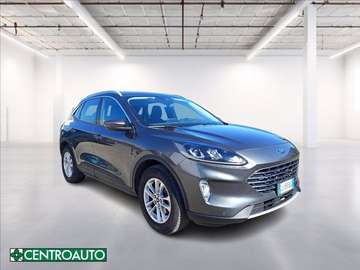 1.5 ecoblue Titanium Business 2wd 120cv auto