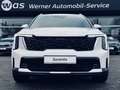 Kia Sorento 2.2 Platinum 7S Nappa AHK Blanc - thumbnail 3