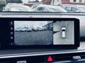Kia Sorento 2.2 Platinum 7S Nappa AHK Blanc - thumbnail 14