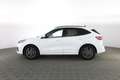 Ford Kuga FORD Kuga 1.5 EcoBoost 150 CV 2WD ST-Line X Weiß - thumbnail 6