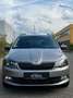 Skoda Fabia Kombi III Amb TSI 95PS/AMUNDSEN/SHZ Beige - thumbnail 11