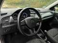 Skoda Fabia Kombi III Amb TSI 95PS/AMUNDSEN/SHZ Beige - thumbnail 30
