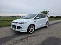 Ford Kuga 2,0 TDCi ST-Line Start/Stop Powershift Aut. AWD Weiß - thumbnail 2