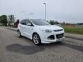 Ford Kuga 2,0 TDCi ST-Line Start/Stop Powershift Aut. AWD Weiß - thumbnail 3