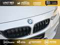 BMW M4 M4 Cabriolet - BV DKG  CABRIOLET F33 F83 M4 PHASE 1 Blanc - thumbnail 6