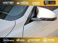 BMW M4 M4 Cabriolet - BV DKG  CABRIOLET F33 F83 M4 PHASE 1 Blanc - thumbnail 14